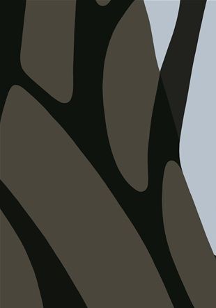 ‘Uden titel’  printes i 50 x 70 og 70 x 100 cm.